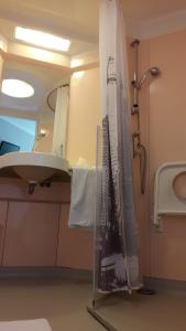 uma casa de banho com um lavatório e uma cortina de chuveiro em Riv'Hotel em Maleville
