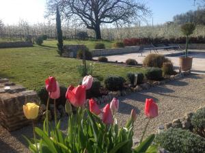 um grupo de tulipas rosas e amarelas num parque em Lamamotte Gite Holiday Home em Pinel-Hauterive