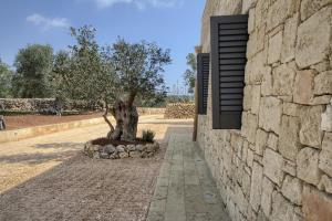 a stone wall with a tree next to a building at Piccante Seaview by LoveSud in Patù +34 photos