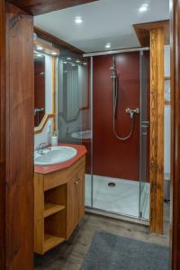 ein Bad mit einem Waschbecken und einer Dusche in der Unterkunft Hotel Restaurant Alatsee in Füssen