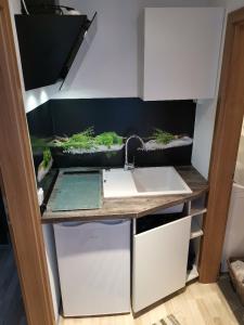 eine Küche mit zwei Topfpflanzen auf einer Theke in der Unterkunft Einzelnwohnung mit eigenem Eingang in Weingarten