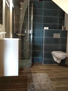 La salle de bains est pourvue d'une douche et de toilettes. dans l'établissement Le Petit Rias Gîte Soleil, à Saint Maurice en Chalencon