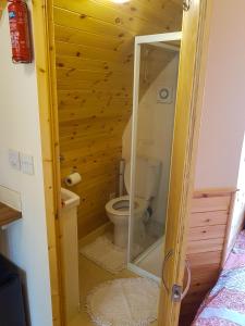 a bathroom with a toilet and a glass door at Colemans Cottage Fishery in Wickham Bishops