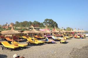 Plaża w apartamencie lub w pobliżu
