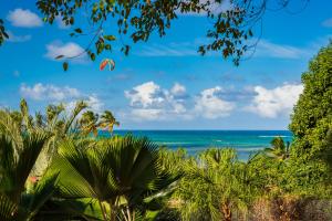 a view of the ocean from the jungle at Le Village de la Pointe in Le Vauclin