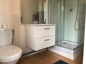 迪耶普的住宿－Location Dieppe Appartement，带淋浴、卫生间和盥洗盆的浴室