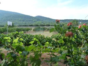 コミジャにあるCountry House Speedyのギャラリーの写真