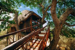 Gallery image of Pezulu Tree House Lodge in Hoedspruit