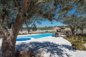 The swimming pool at or close to Dimora Villa Ada