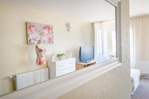 TV a/nebo společenská místnost v ubytování Karle Hotel