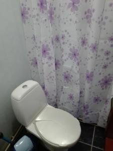 a white toilet in a bathroom with purple flowers at Садиба Брусний in Mykulychyn