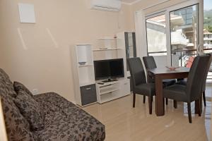 TV a/nebo společenská místnost v ubytování Apartments Mianiko