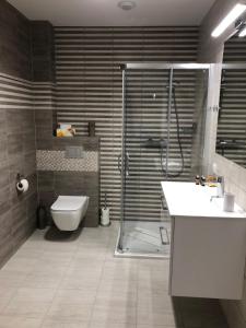 Kúpeľňa v ubytovaní Apartamenty Leśna 1