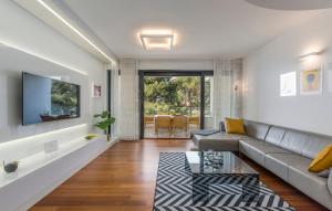 Televízia a/alebo spoločenská miestnosť v ubytovaní Luxury Apartments Novigrad