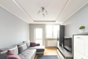 Televízia a/alebo spoločenská miestnosť v ubytovaní Śliska Residence