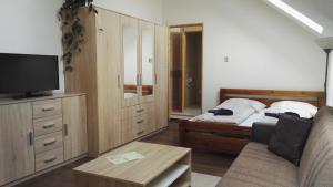 a bedroom with a bed and a tv and a couch at Ubytování v soukromí Opolany u Poděbrad in Opolany