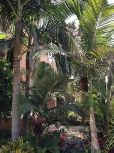 un grupo de palmeras en un jardín con flores en Constantaras Apartments, en Protaras