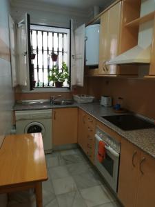 cocina con fregadero y lavavajillas en Apartamento San Miguel Caballeros, en Jerez de la Frontera