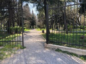 Afbeelding uit fotogalerij van Cicki Apartments I in Podgorica