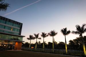 Legacy Hotel at IMG Academy外面的花园