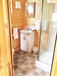 ein Bad mit einem WC, einem Waschbecken und einer Dusche in der Unterkunft Forest Edge Motel in Ticehurst