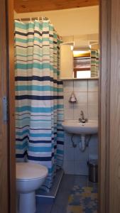 a bathroom with a shower curtain and a sink at Apartma NADIŽA in Borjana +54 photos