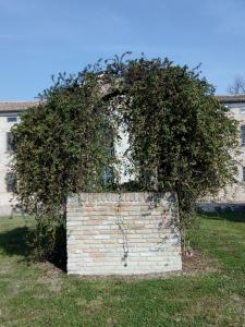 una pared de ladrillo con un arbusto encima en Locanda Corte Arcangeli, en Ferrara