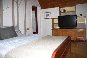 a bedroom with a bed and a flat screen tv at Fedra Apartment in Zrenjanin