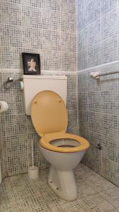 a bathroom with a toilet with a picture on the wall at Fedra Apartment in Zrenjanin +9 photos