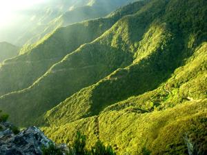 a view of a mountain valley with trees on it at Apartamentos Los Telares in Hermigua