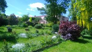 a garden view from the window of a house at Le Petit Logis in Puy-du-Fou +2 photos