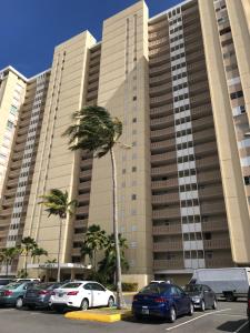 a palm tree in front of a large building at Ocean Front Apartment in Luquillo