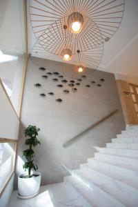 a group of birds on the floor of a building at Hotel Voramar in Benidorm