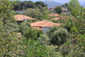 a group of houses with tiled roofs and trees at NIKOS in Kakovatos