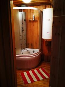 a bathroom with a shower and a bath tub at Peramaa Puhkekeskus in Meeksi