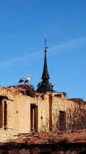 Kép Estudios El Quijote szállásáról Alcalá de Henaresben a galériában