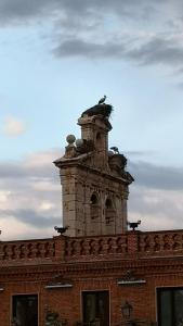 Kép Estudios El Quijote szállásáról Alcalá de Henaresben a galériában