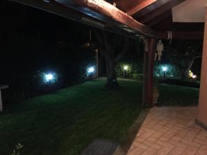 A garden outside VILLA VENERE near the sea- 25 minutes to S.Peter
