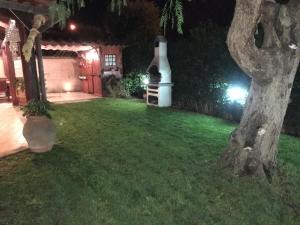 A garden outside VILLA VENERE near the sea- 25 minutes to S.Peter