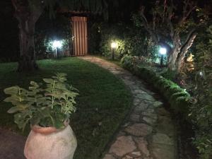 A garden outside VILLA VENERE near the sea- 25 minutes to S.Peter