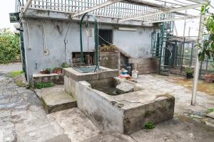 Vonkajšia záhrada v ubytovaní Casa Rosario