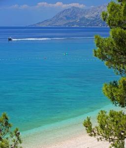 Fotografie z fotogalerie ubytování Apartment Dalija v destinaci Baška Voda