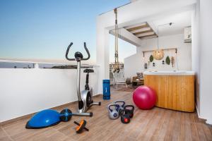 Fitness centrum a/nebo fitness zařízení v ubytování Euphoria Luxury apartment
