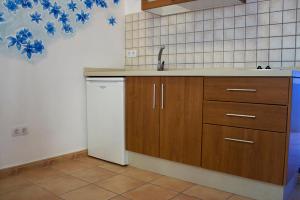 cocina con armarios de madera, fregadero y lavavajillas en Apartamentos Concha, en Valle Gran Rey