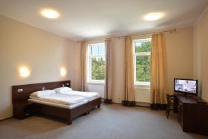 TV a/nebo společenská místnost v ubytování Hotel Cesarski - Kaiserhof
