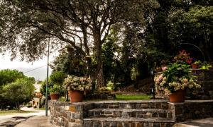 Vonkajšia záhrada v ubytovaní Hostal Montserrat