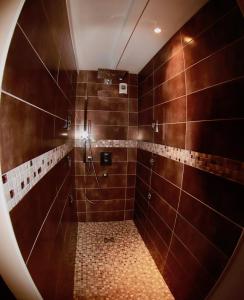 a bathroom with a shower with brown tiled walls at Château Trillon in Sauternes