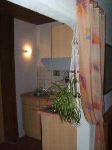 Gallery image of Ferienwohnung Evangeline Borsch in Zell an der Mosel