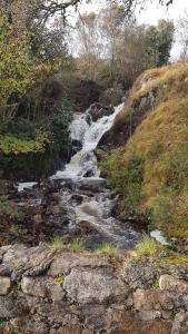 Náttúran í nágrenni sumarhússins