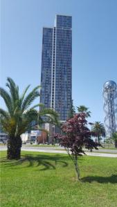 Zahrada ubytování Premium apartment in Porta Batumi Tower